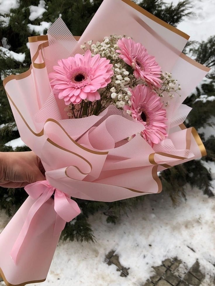 мини комплемент